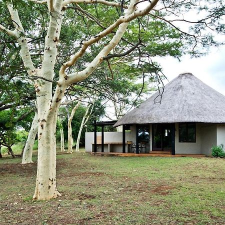 هلوهلوي Zululand Safari Lodge المظهر الخارجي الصورة
