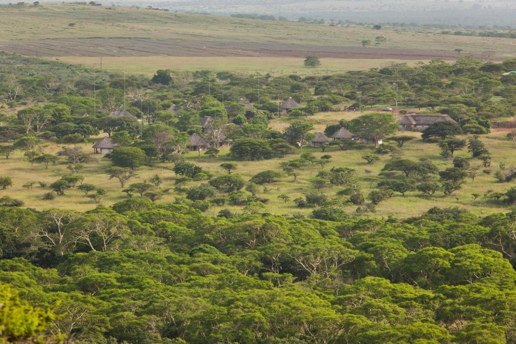 هلوهلوي Zululand Safari Lodge المظهر الخارجي الصورة