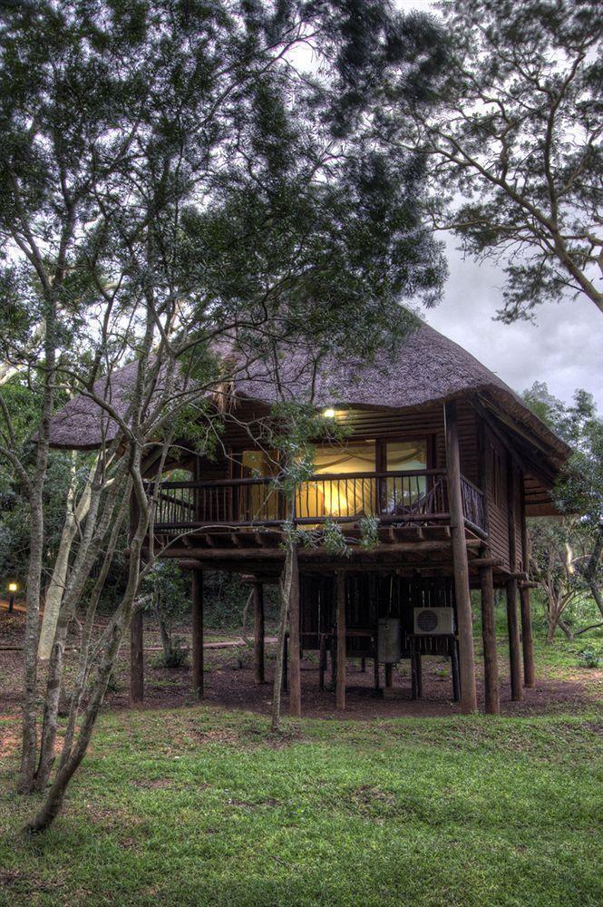 هلوهلوي Zululand Safari Lodge المظهر الخارجي الصورة
