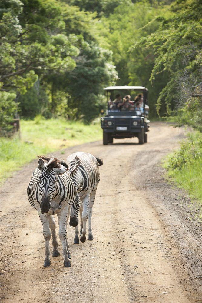 هلوهلوي Zululand Safari Lodge المظهر الخارجي الصورة