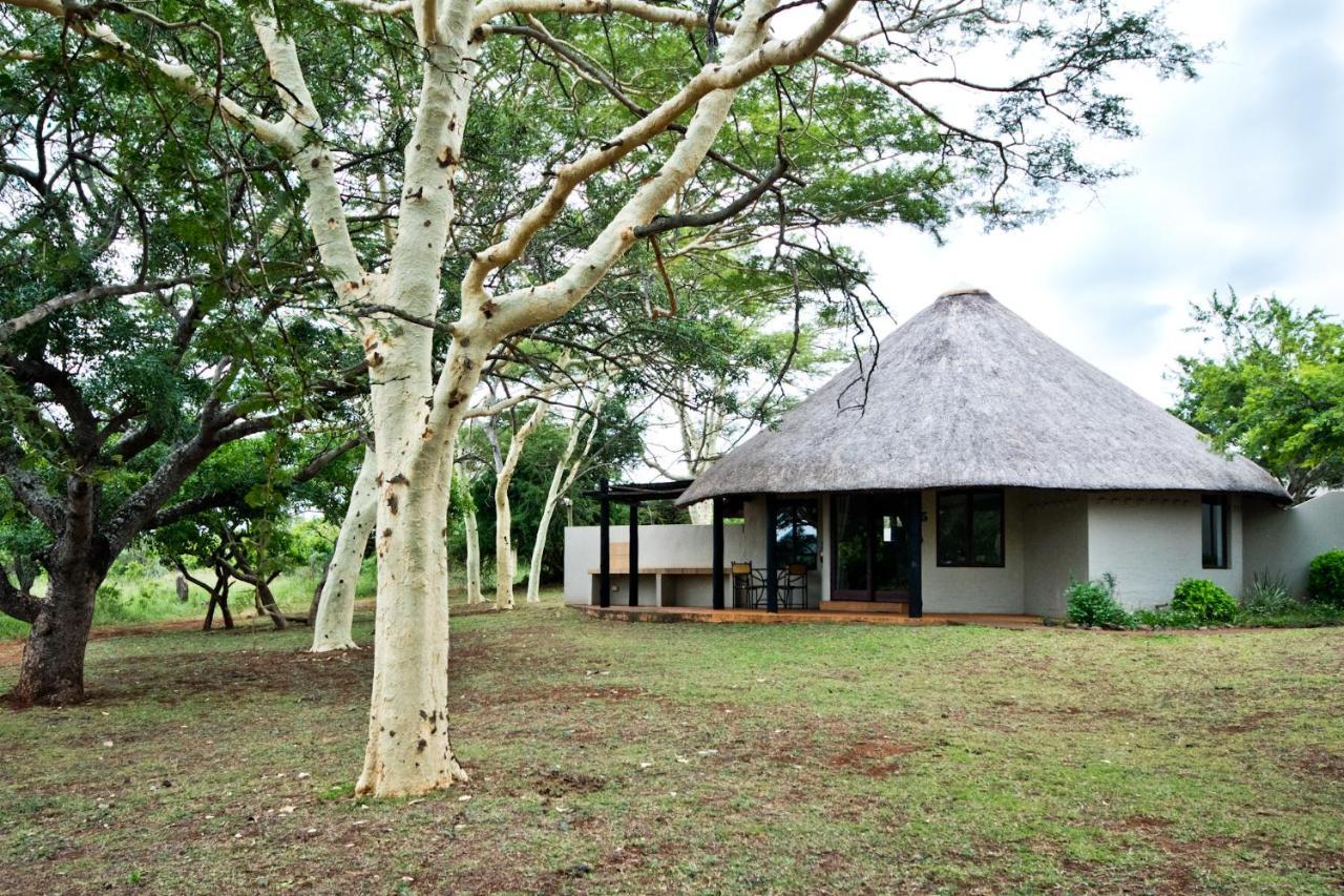 هلوهلوي Zululand Safari Lodge المظهر الخارجي الصورة
